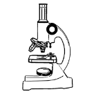 мікроскоп 1.png
